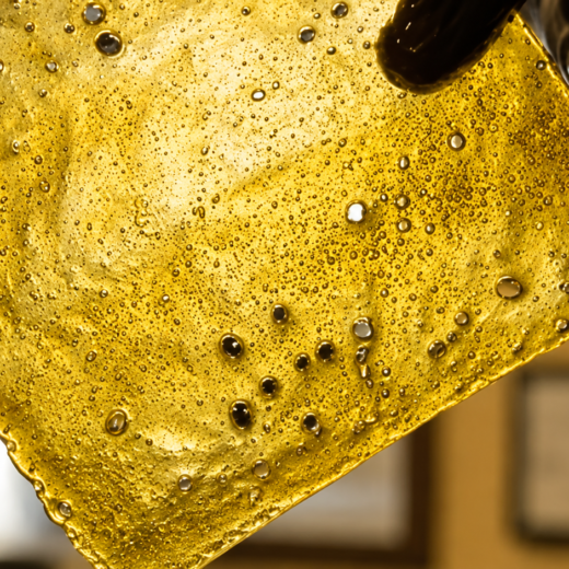 Rosebud Shatter