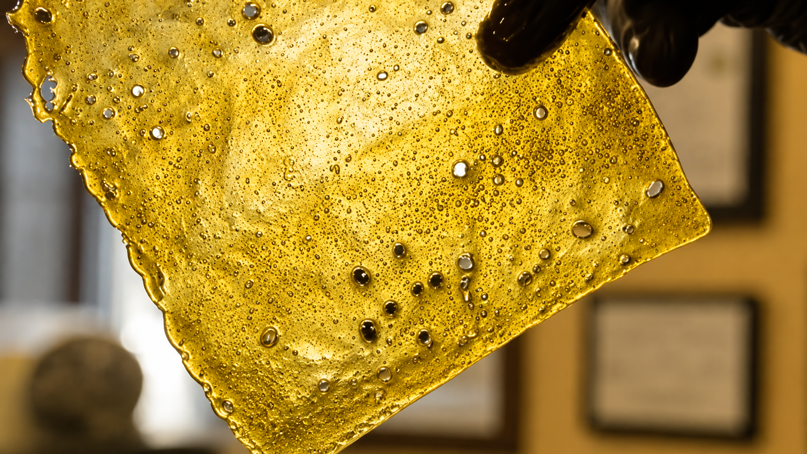 Rosebud Shatter 1 Rosebud Shatter