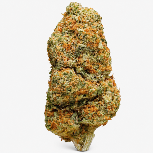 Northern light
