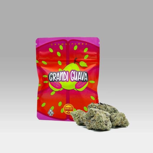 grandi guava strain scaled