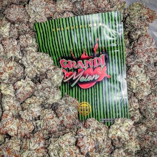 Grandi Melon Strain