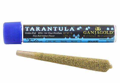 Ganja Gold/Blue Tarantula