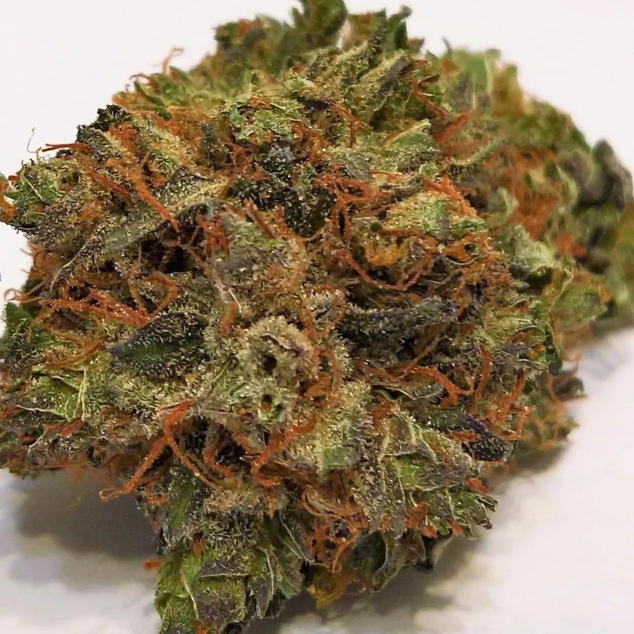 Trainwreck 1 Trainwreck