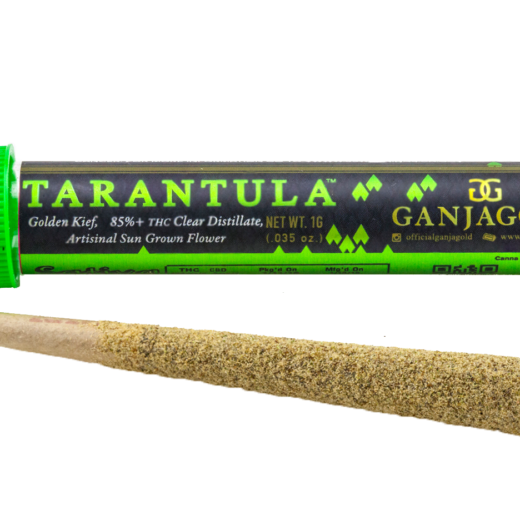 Ganja Gold/Green Tarantula