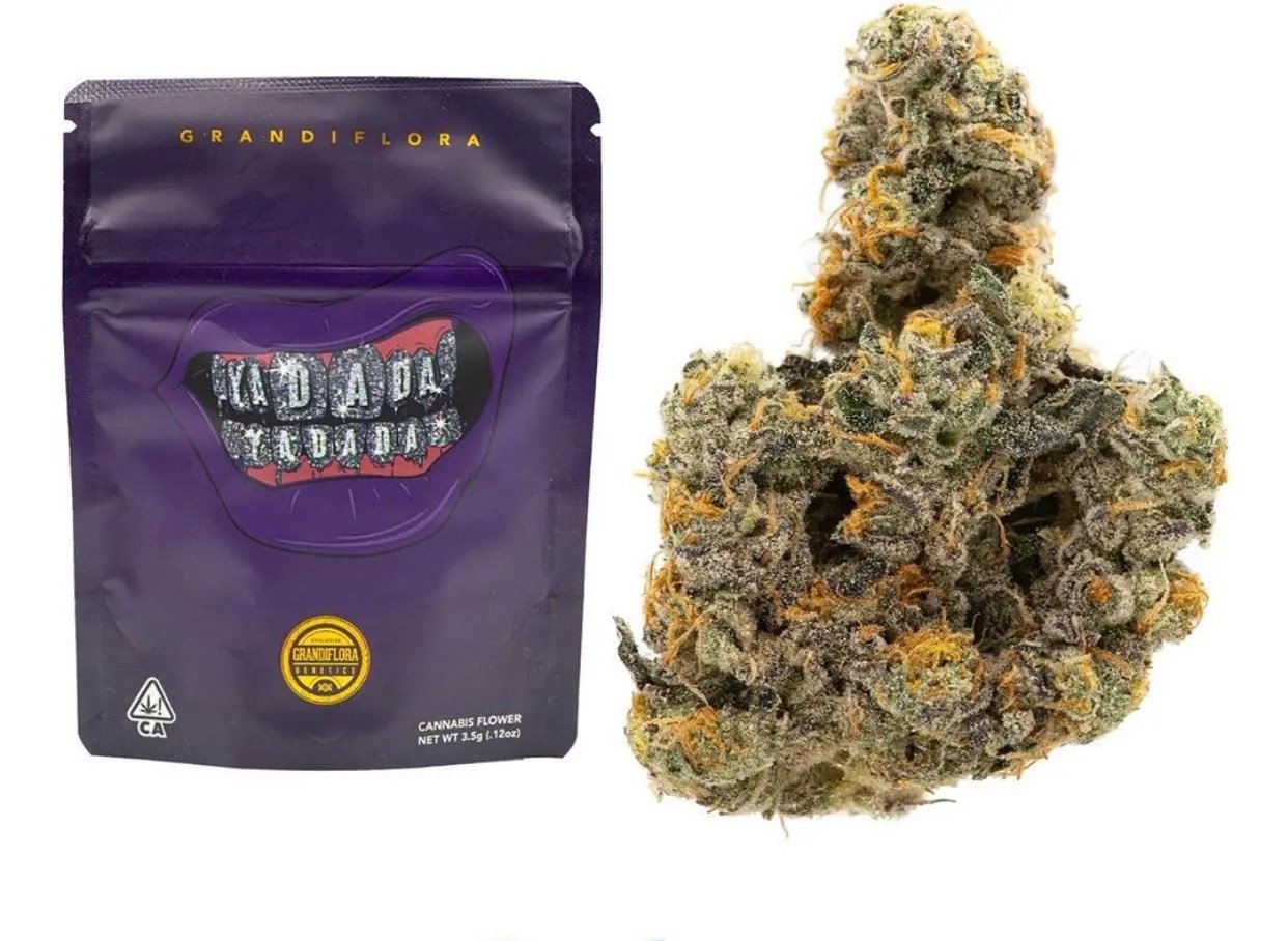 Yadada Strain 1 Yadada Strain