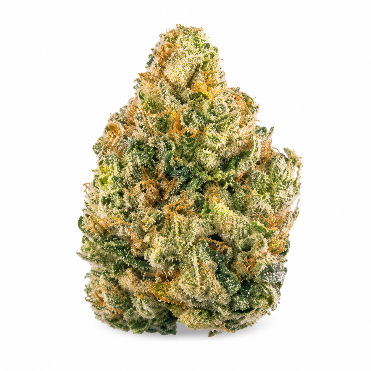 AK-47 Weed Strain 1 AK-47 Weed Strain