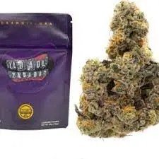 Wild Thornberrys Strain