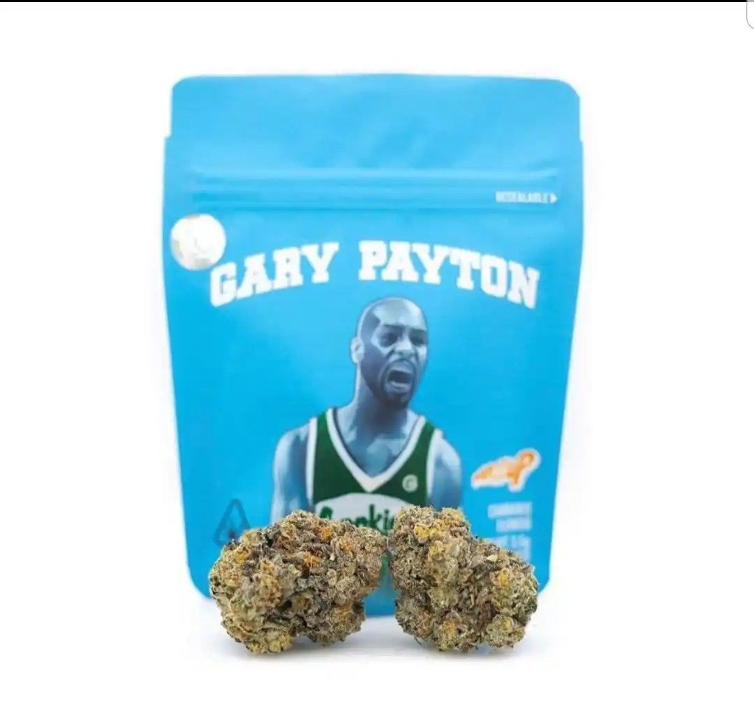 Gary Payton Strain | Cookies 1 Gary Payton Strain | Cookies