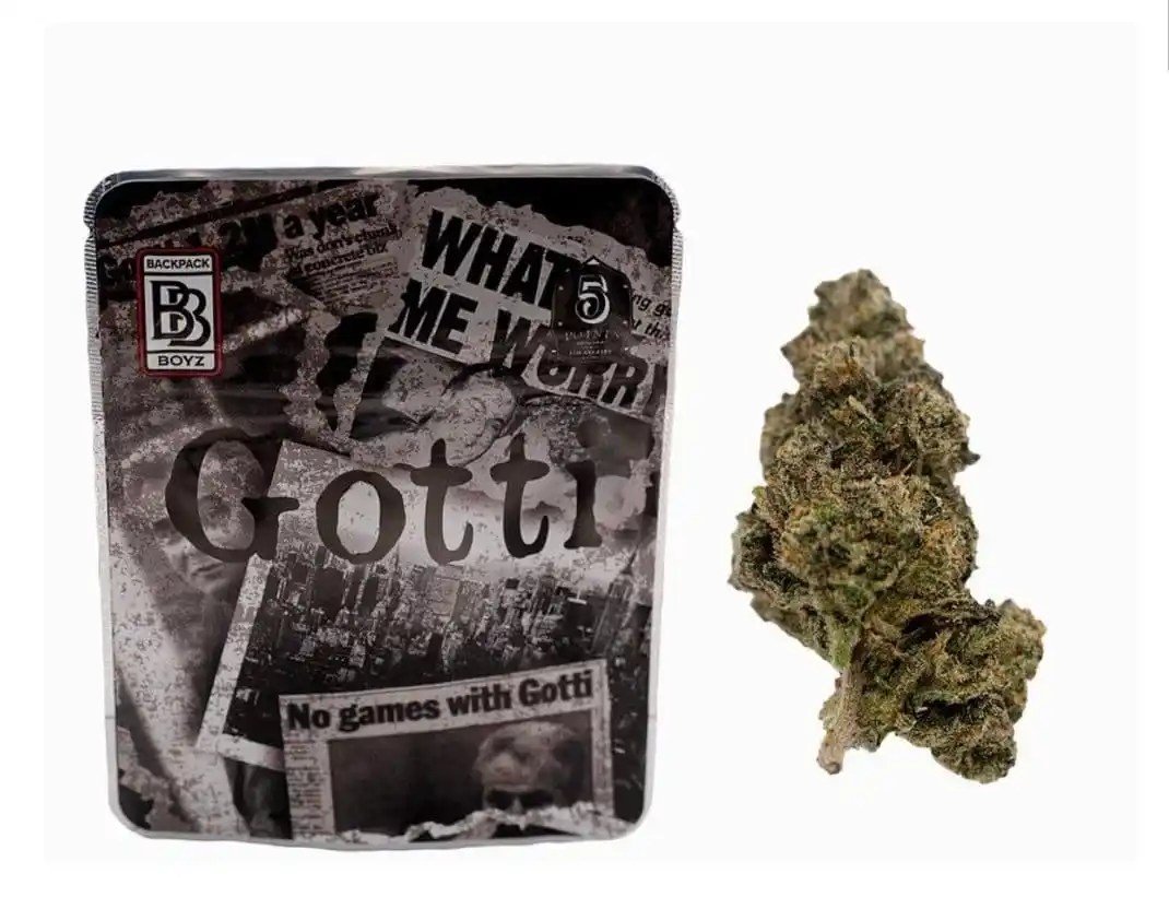 Gotti weed Strain | Backpackboyz 1 Gotti weed Strain | Backpackboyz