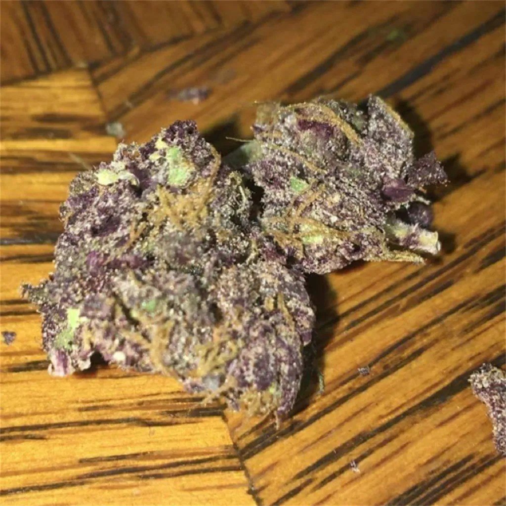 Grape god 1 Grape god