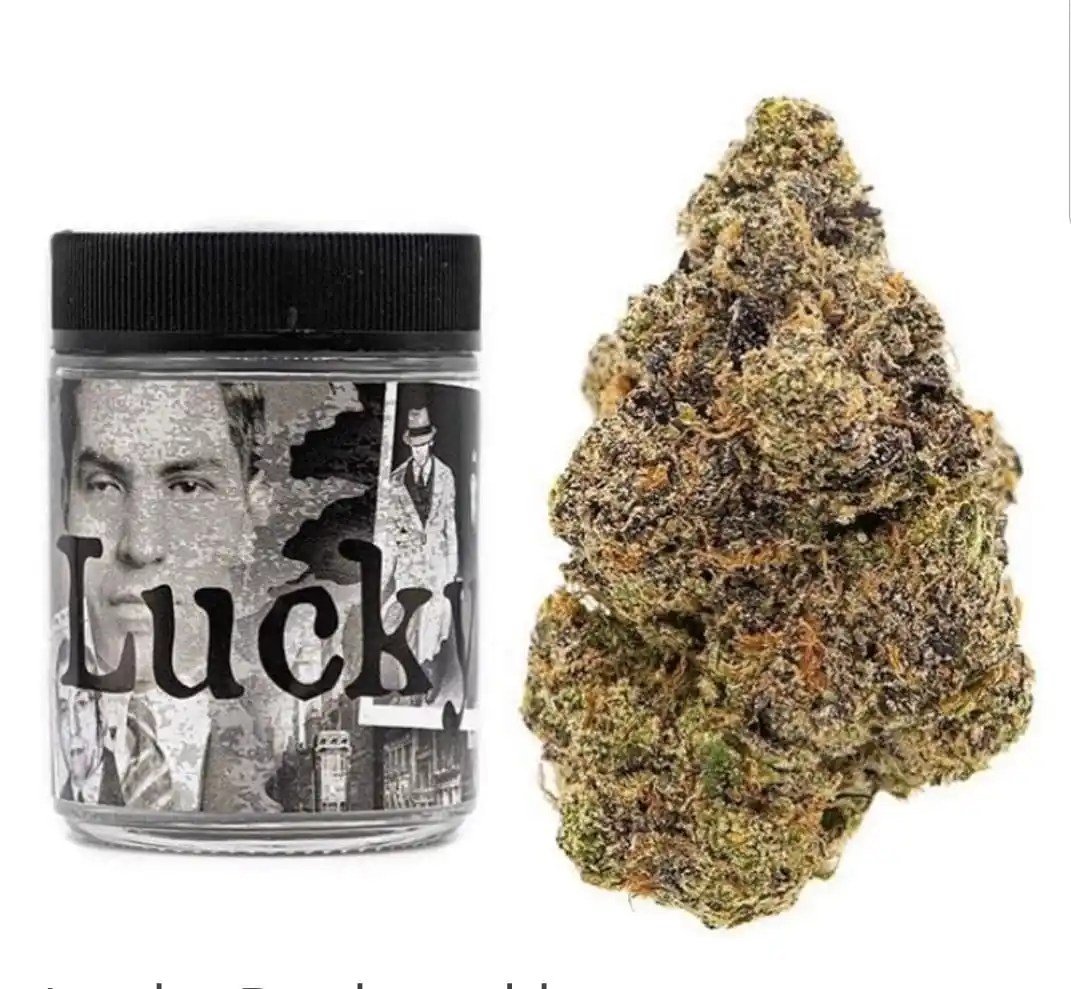 Lucky Strain | Backpackboyz 1 Lucky Strain | Backpackboyz