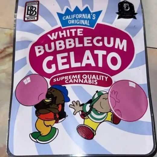 White Bubble Gum Gelato | Backpackboyz