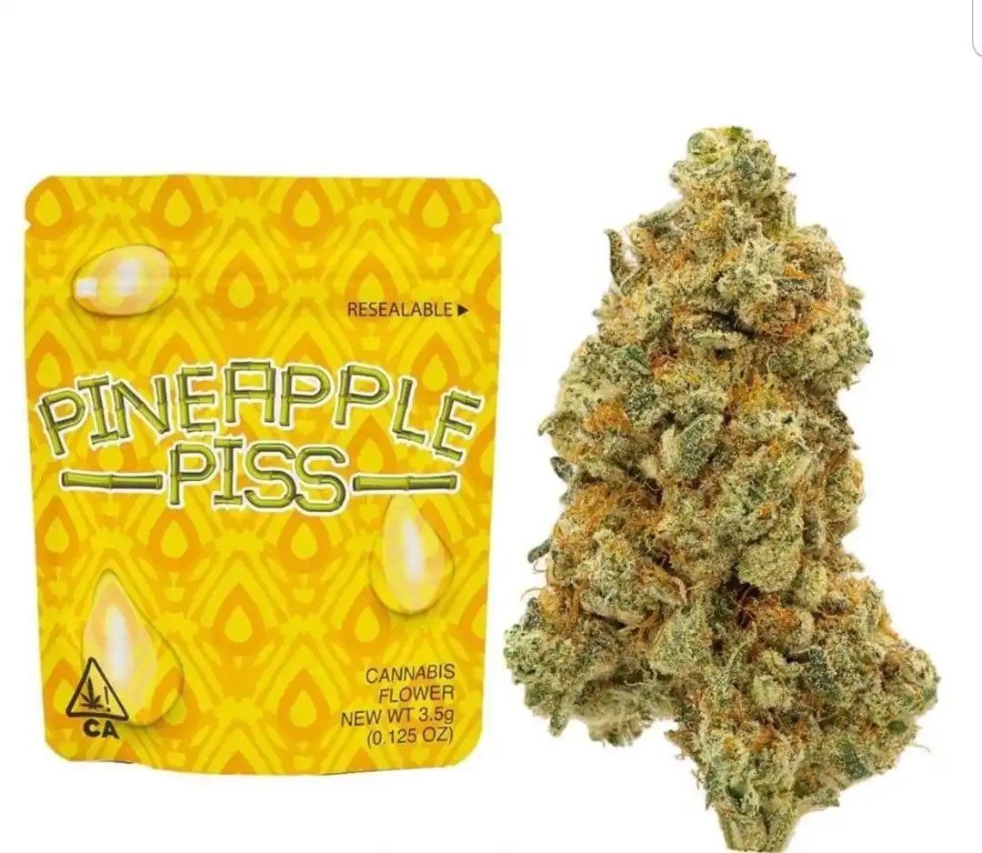 Pineapple Piss Strain | Cookies 1 Pineapple Piss Strain | Cookies