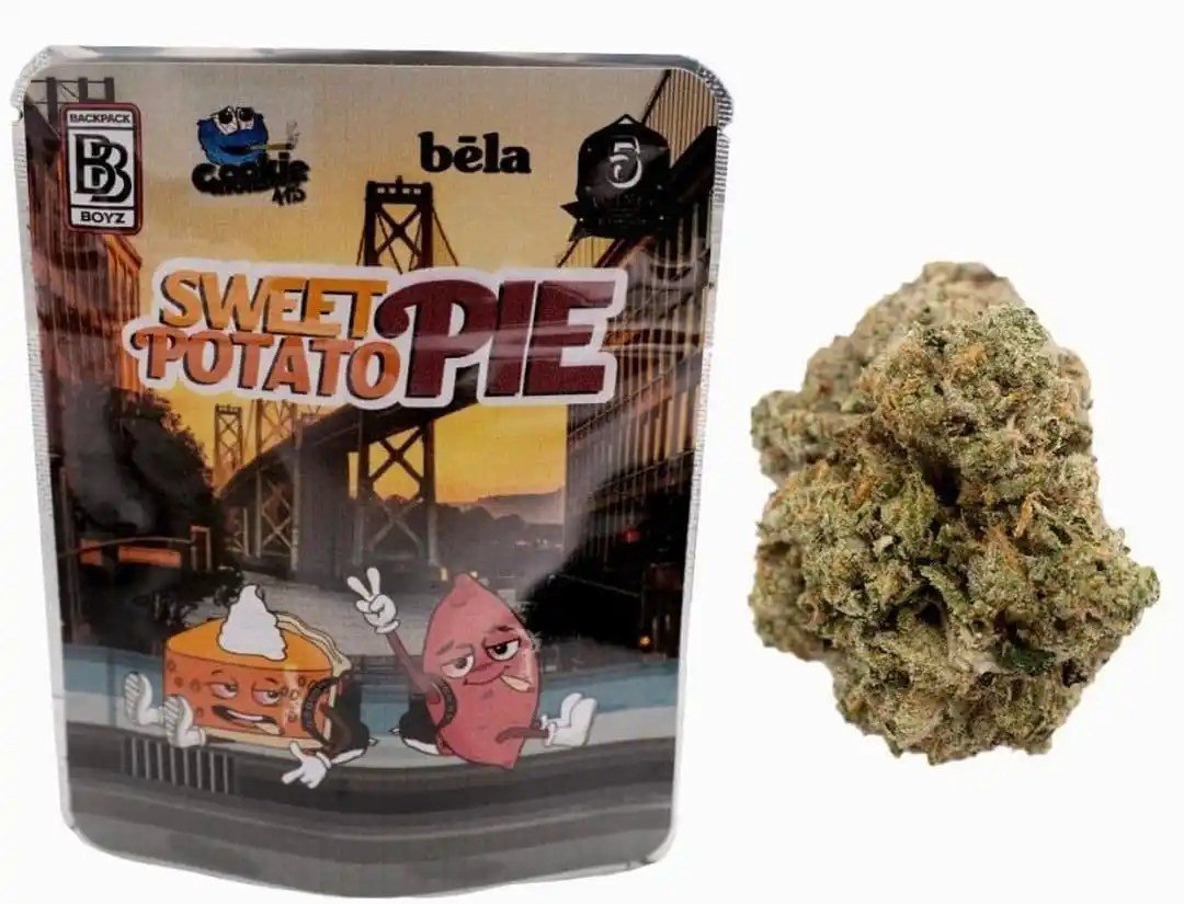 Sweet Potato Pie Strain | Backpackboyz 1 Sweet Potato Pie Strain | Backpackboyz